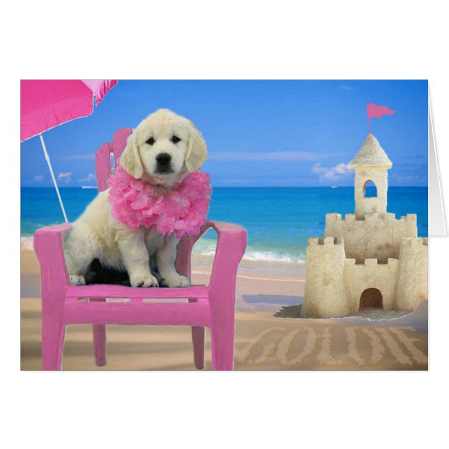 Semana 8 - Playa Goldie (Anverso (Horizontal))