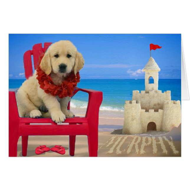 Semana 8 - Playa Murphy (Anverso (Horizontal))