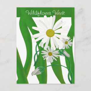 Semana de la Flor Silvestre Tarjeta Postal de Marg