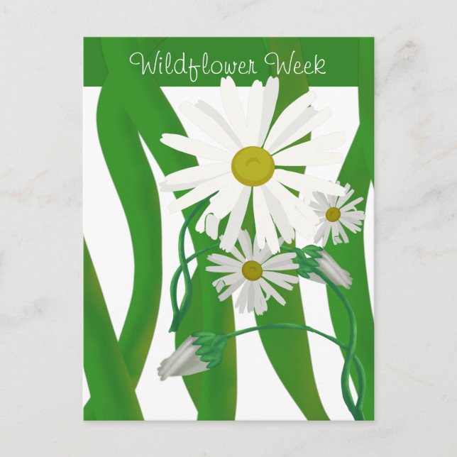 Semana de la Flor Silvestre Tarjeta Postal de Marg (Anverso)