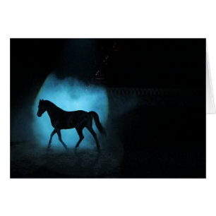 Semental árabe negro