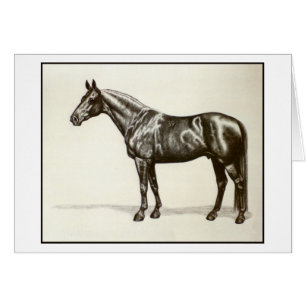Semental de Trakehner