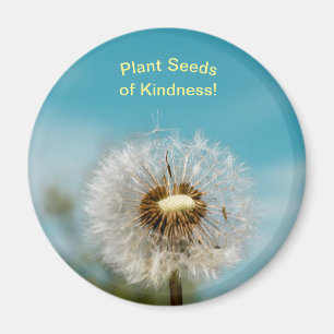 Semillas de bondad de la planta del imán de Dande