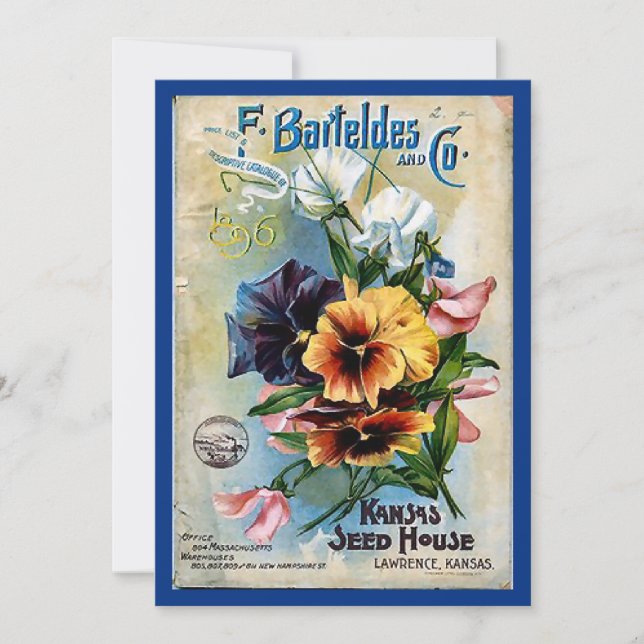 Semillas de flores Packs Arte de época (Anverso)