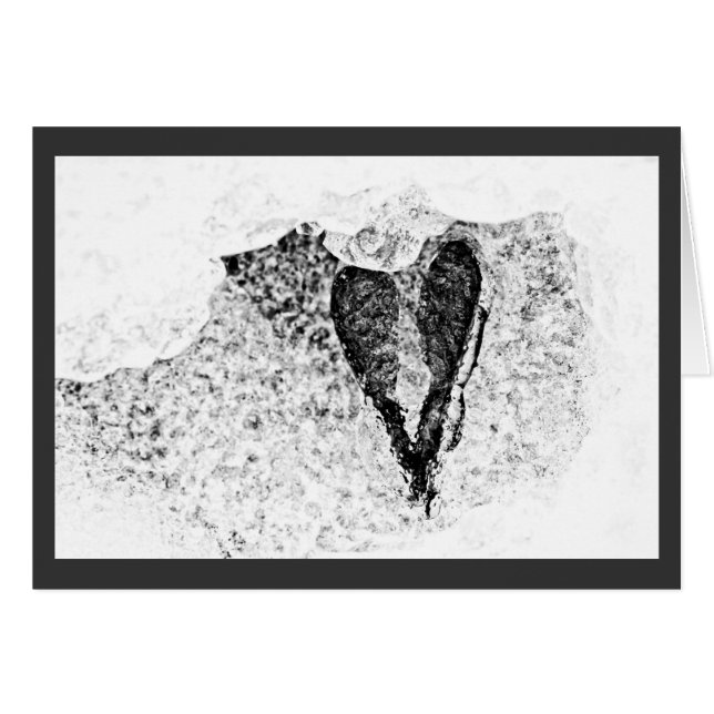 semillas heladas enamoradas (Anverso (Horizontal))