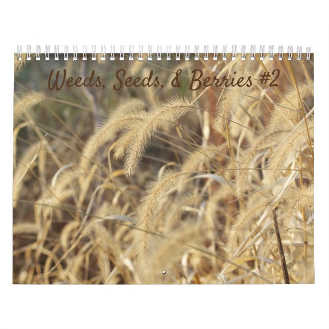 Semillas, semillas y bayas #2 Calendario (Tapa)
