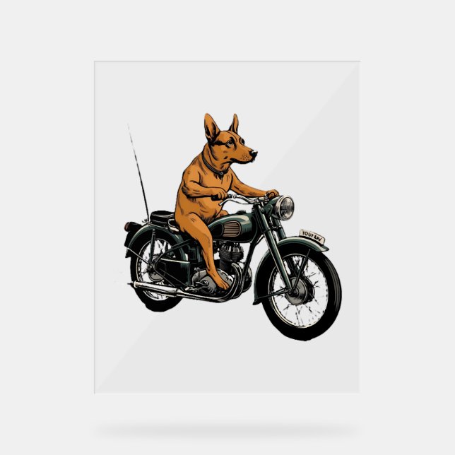 Señal Acrílica A Cool Dog Riding a Motorcycle (Anverso)