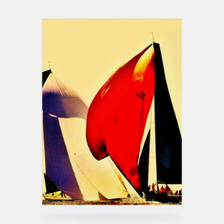 Señal Acrílica A magnific Poster for your living room, bedroom