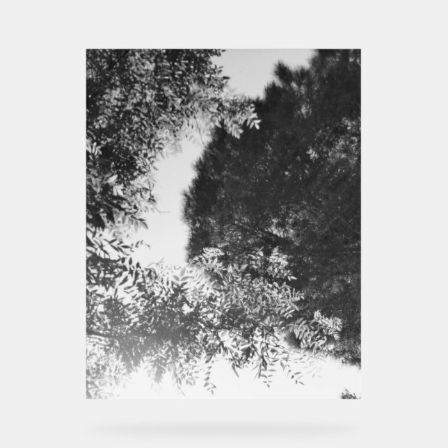 Señal Acrílica Acrylic Sign  (Anverso)