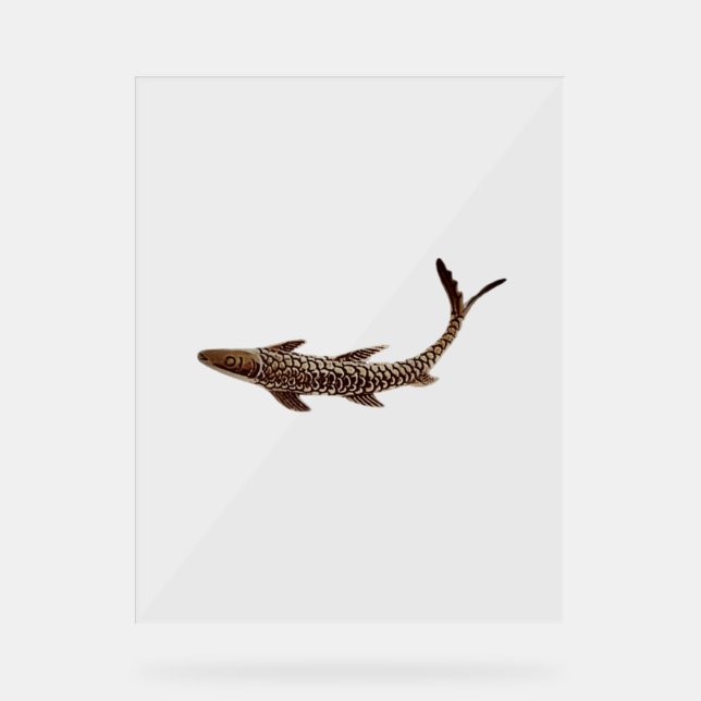 Señal Acrílica Acrylic Sign FISH STYLE DESIGN (Anverso)