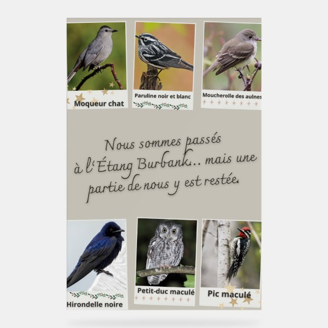 Señal Acrílica Affiche Collage d’Oiseaux de l'Étang Burbank – (Anverso)