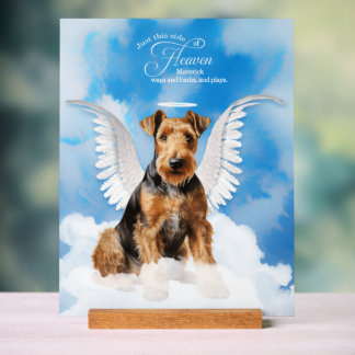 Señal Acrílica Airedale Terrier Angel Dog con nombre Mascota Memo
