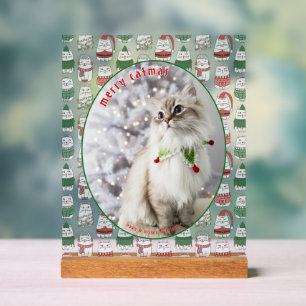 Señal Acrílica Amante de los Gatos Foto de Gato Festivo Navideño