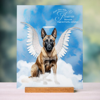 Señal Acrílica Ángel belga malinés con nombre Mascota