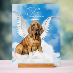 Señal Acrílica Ángel de perro sangriento con nombre Mascota