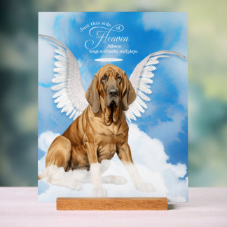 Señal Acrílica Ángel de perro sangriento con nombre Mascota
