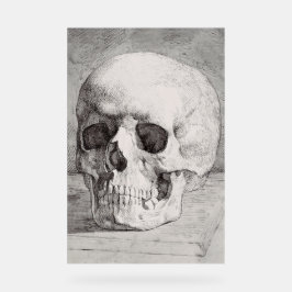 Señal Acrílica Arte gráfico de cráneo: Diseño de tinta minimalist