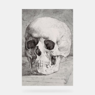 Señal Acrílica Arte gráfico de cráneo: Diseño de tinta minimalist