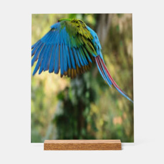 Señal Acrílica ave feliz