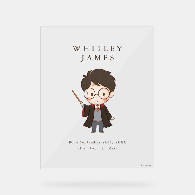 Señal Acrílica Baby Shower de Harry Potter simple (Anverso)