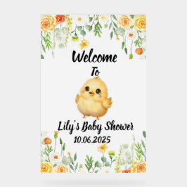 Señal Acrílica Bebé con ducha de bebé acrílico