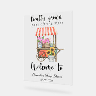 Señal Acrílica Bebé criado localmente - Bienvenida baby shower