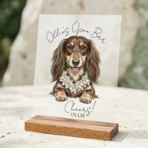 Bebidas de Boda de Dachshund Tropical a mi cargo