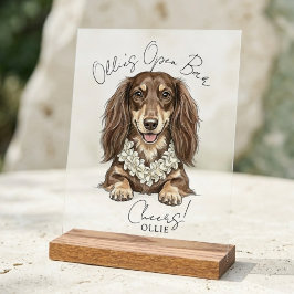 Señal Acrílica Bebidas de Boda de Dachshund Tropical a mi cargo