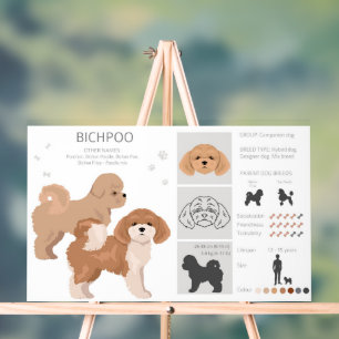 Señal Acrílica Bichpoo, Poochon, mezcla de perro de Bichon Poodle