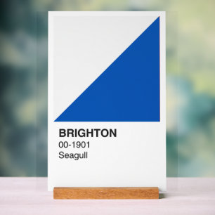Señal Acrílica Brighton Seagull Blue and White - Fondo blanco