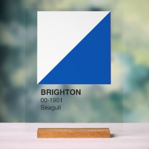 Señal Acrílica Brighton Seagull Blue and White - Fondo claro