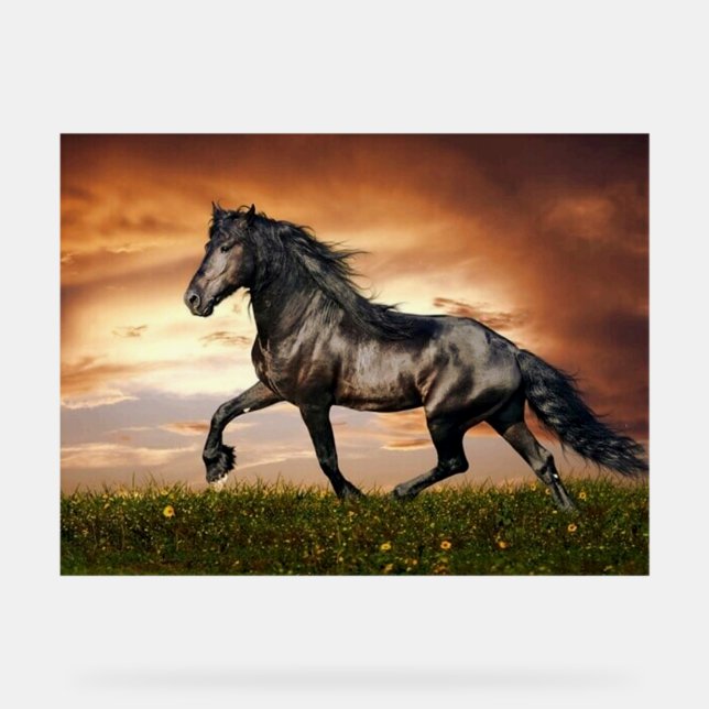 Señal Acrílica caballo al galope (Anverso)