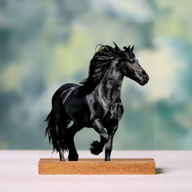 Señal Acrílica Caballo negro (Neutral )