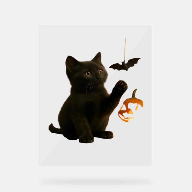 Señal Acrílica Camiseta Clásica de Trasero Hex & Lantern (Anverso)