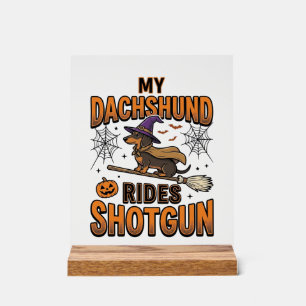 Señal Acrílica Camiseta Dachshund Bruja de Halloween con Escoba e