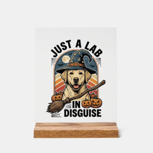 Señal Acrílica Camiseta de Halloween para Labrador Vintage Bruja