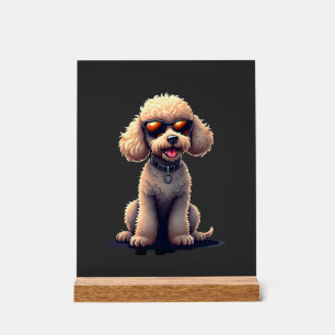 Señal Acrílica Caniche Divertido Amante Animales Perros Gráfico C