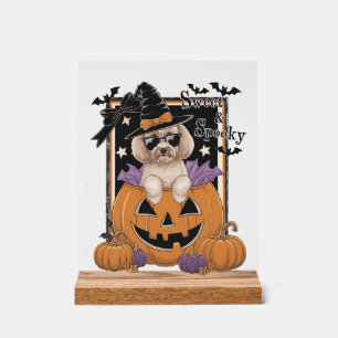 Señal Acrílica Caniche y Calabaza Dulces y Espeluznantes