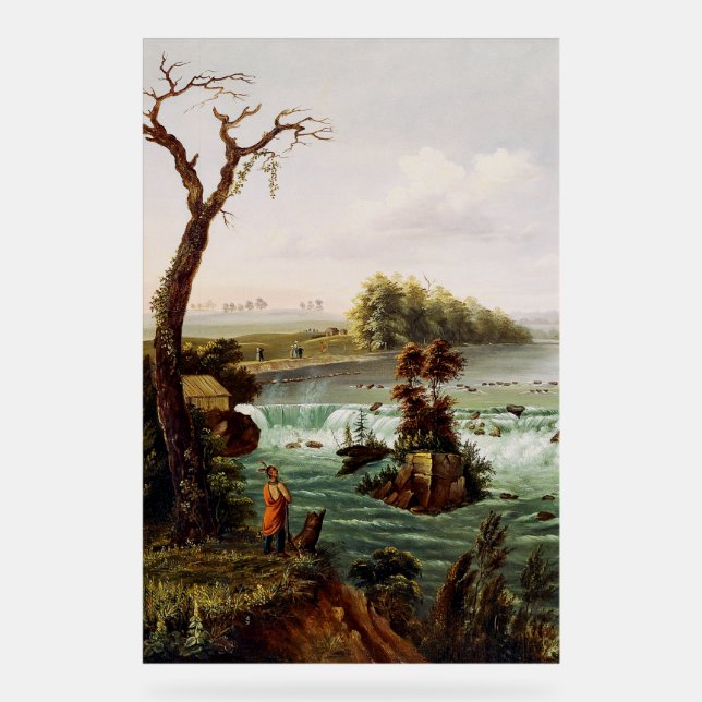 Señal Acrílica Cascadas de Saint Anthony de Henry Lewis (Anverso)