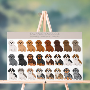 Señal Acrílica Cavapoo, mezcla de perro de Cavoodle
