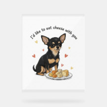 Chihuahua " Me gustaría comer queso contigo"