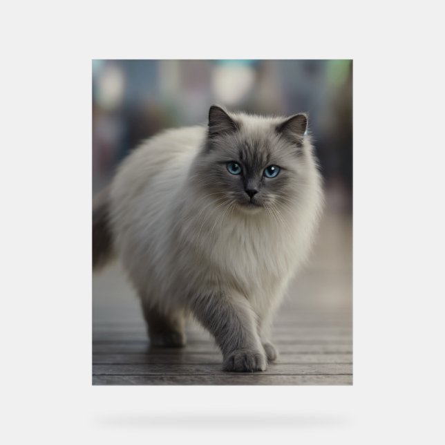 Señal Acrílica City Strolls and Sapphire Eyes (Anverso)