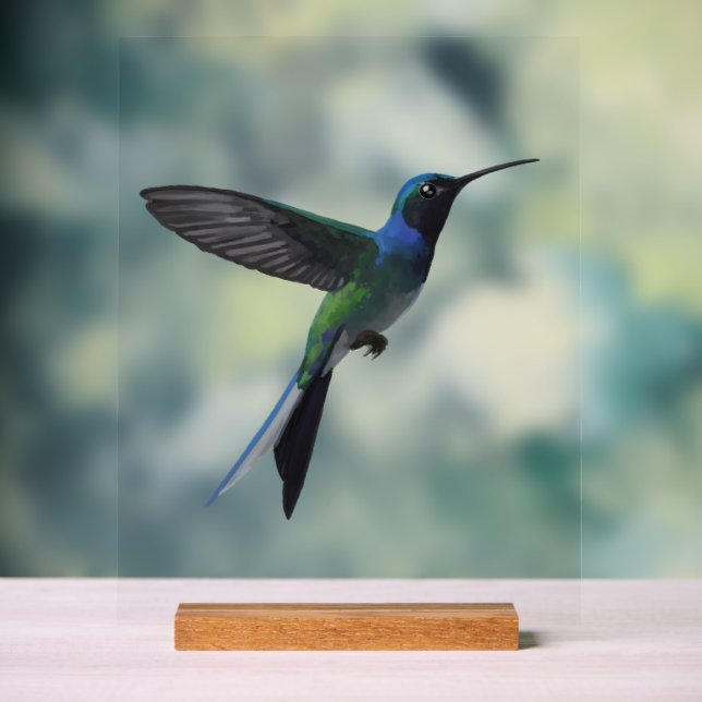 Señal Acrílica Colibrí (Neutral )