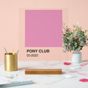 Señal Acrílica Color rosa de la canción Pony Club - Fondo claro