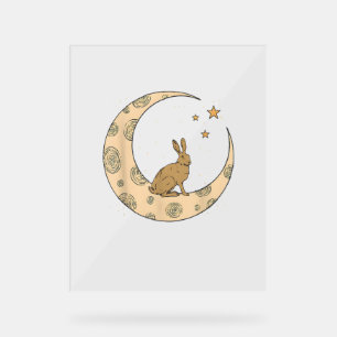 Señal Acrílica Conejo En La Luna Conejo