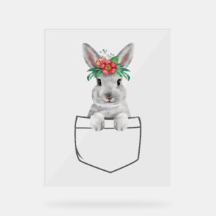 Señal Acrílica Conejo en un Pocket Easter Rabbit