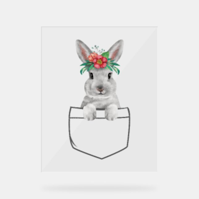 Señal Acrílica Conejo en un Pocket Easter Rabbit (Anverso)