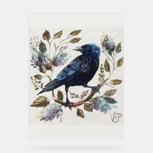 Señal Acrílica Crow