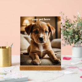 Señal Acrílica Custom