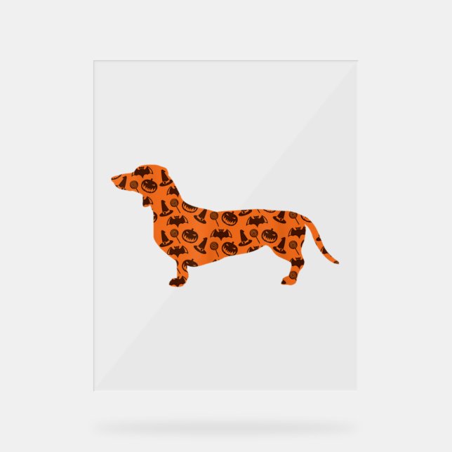 Señal Acrílica Dachshund Pumpkin Bruja Gracioso Halloween (Anverso)